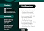 make professional resume design and modern CV template